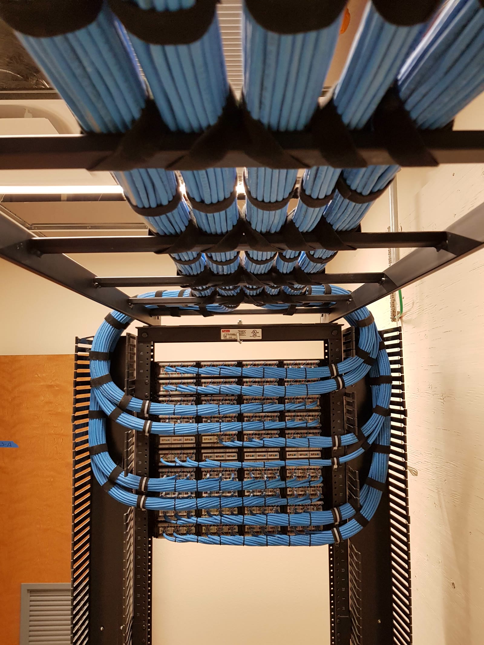 Dressed blue cable cascading overhead into a labelled patch panel