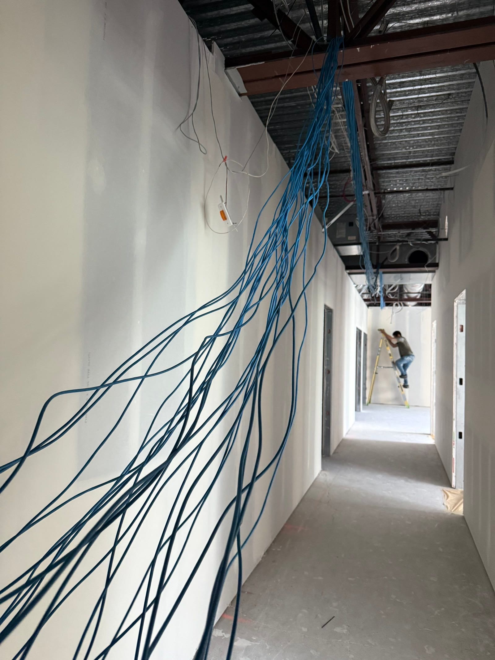 A ceiling drop of Cat cable down a hallway, a crew member on a ladder further down the corridor.